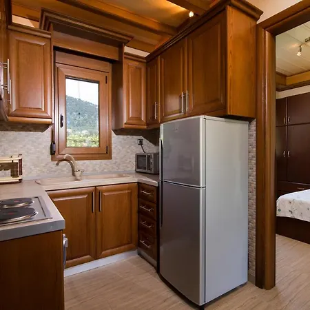 Semiramis Holiday home Chrysi Ammoudia